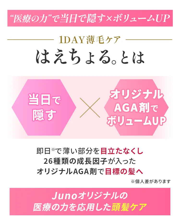 はえちょる。とは